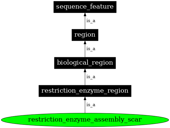 Graph image for SO:0001953