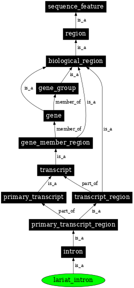 Graph image for SO:0001958