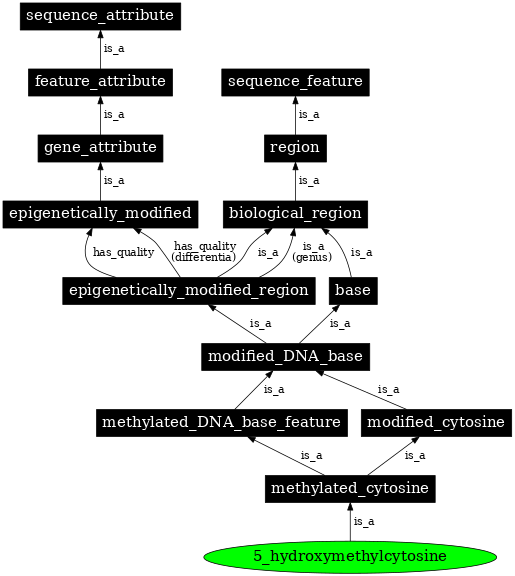 Graph image for SO:0001960