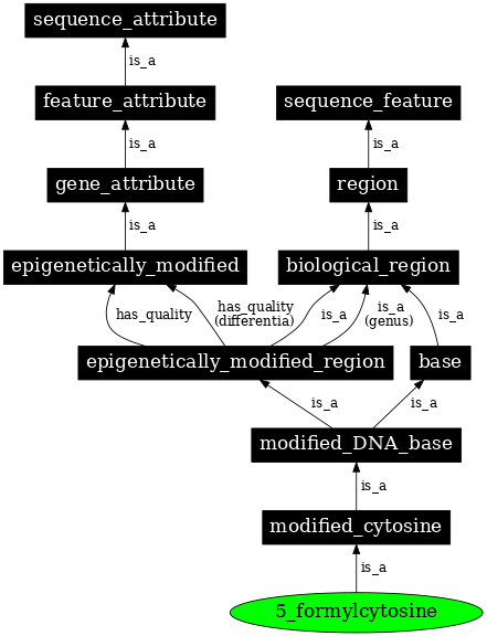 Graph image for SO:0001961