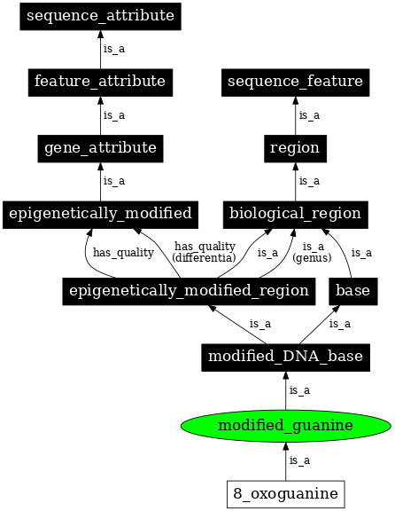 Graph image for SO:0001964