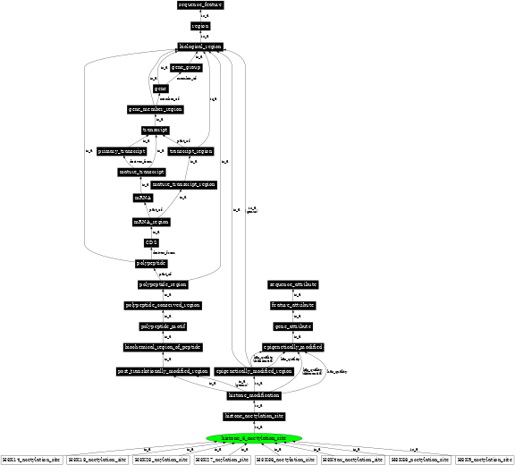 Graph image for SO:0001973