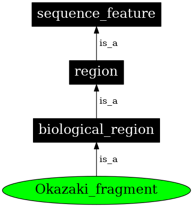 Graph image for SO:0001985