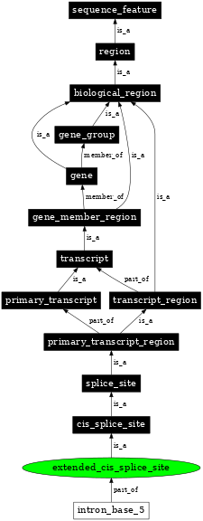 Graph image for SO:0001993