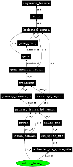 Graph image for SO:0001994