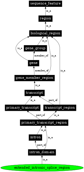 Graph image for SO:0001996