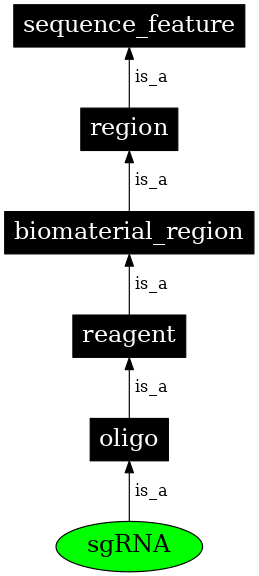Graph image for SO:0001998