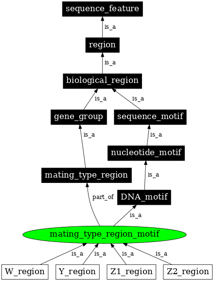 Graph image for SO:0001999