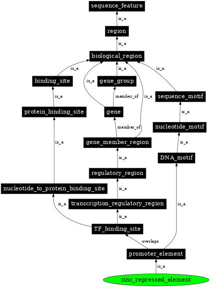 Graph image for SO:0002006