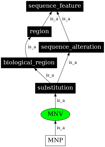 Graph image for SO:0002007