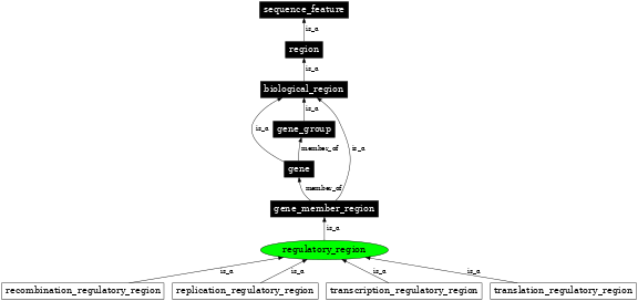 Graph image for SO:0005836