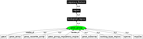Graph image for SO:0005855