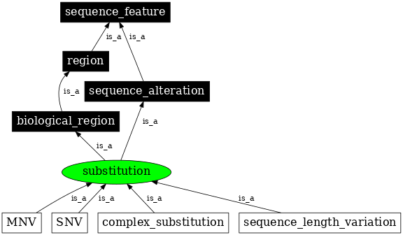 Graph image for SO:1000002