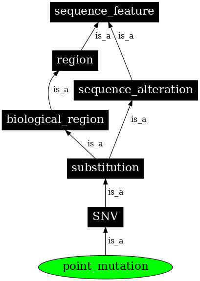 Graph image for SO:1000008