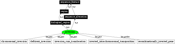 Graph image for SO:1000036