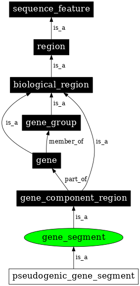 Graph image for SO:3000000