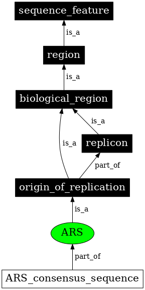 Graph image for SO:0000436