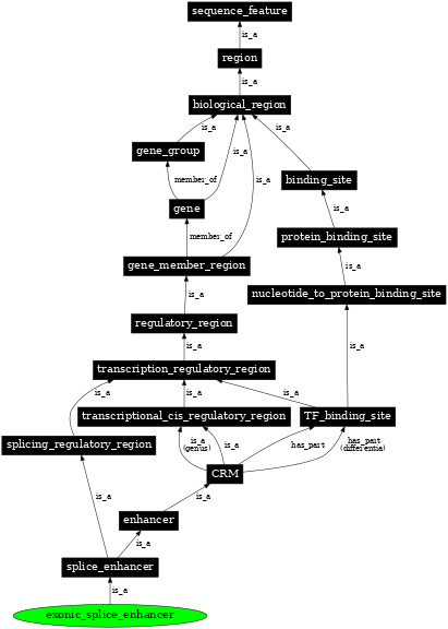 Graph image for SO:0000683