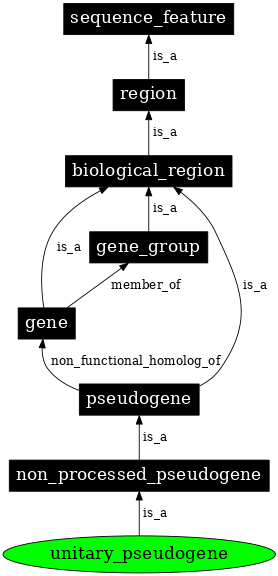 Graph image for SO:0001759