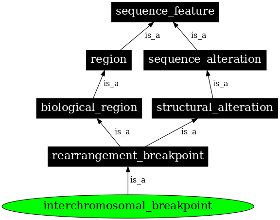 Graph image for SO:0001873
