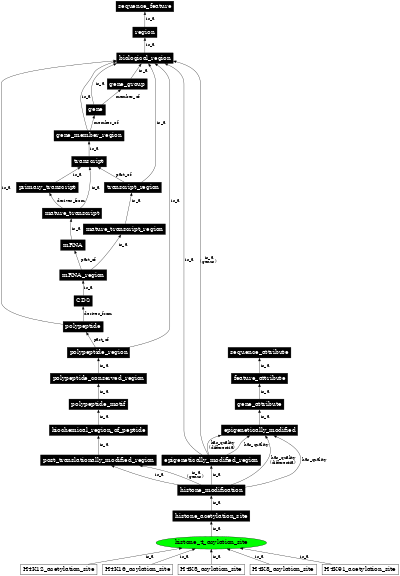 Graph image for SO:0001972