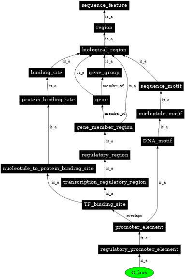 Graph image for SO:0001980