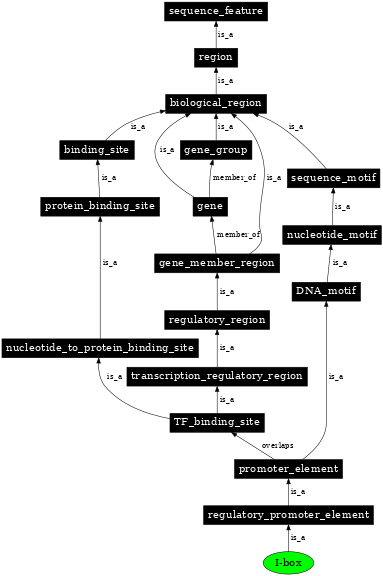 Graph image for SO:0001982