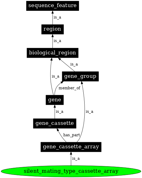 Graph image for SO:0001984