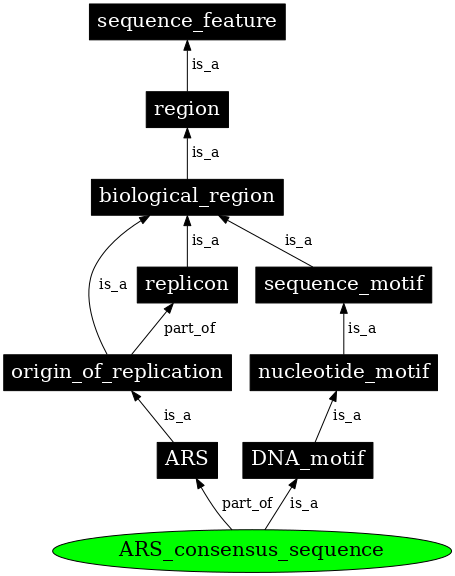 Graph image for SO:0002004