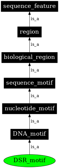 Graph image for SO:0002005