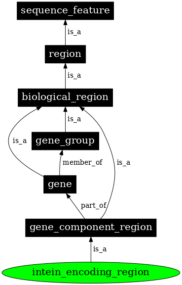 Graph image for SO:0002026