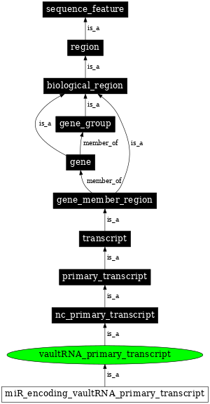 Graph image for SO:0002040