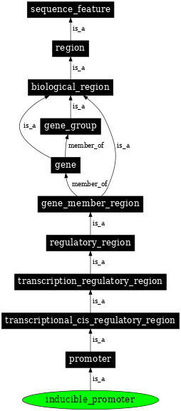 Graph image for SO:0002051