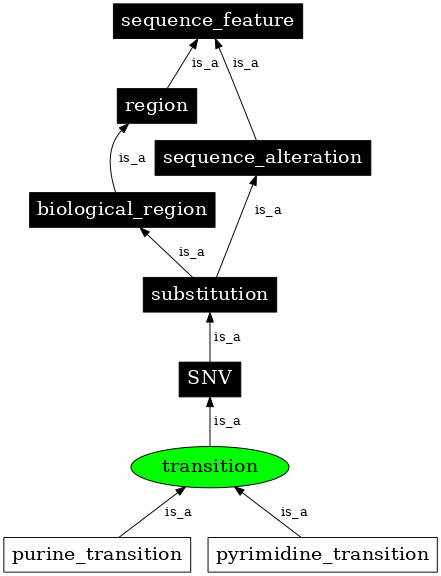 Graph image for SO:1000009