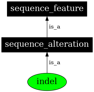 Graph image for SO:1000032