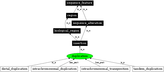 Graph image for SO:1000035