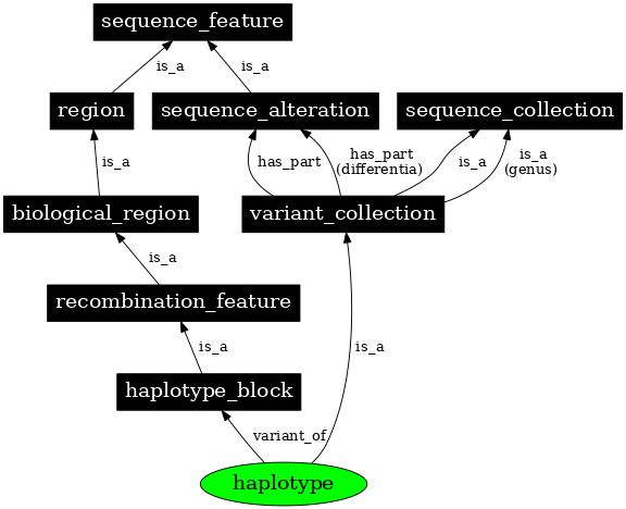 Graph image for SO:0001024