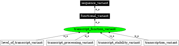 Graph image for SO:0001538