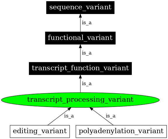 Graph image for SO:0001543