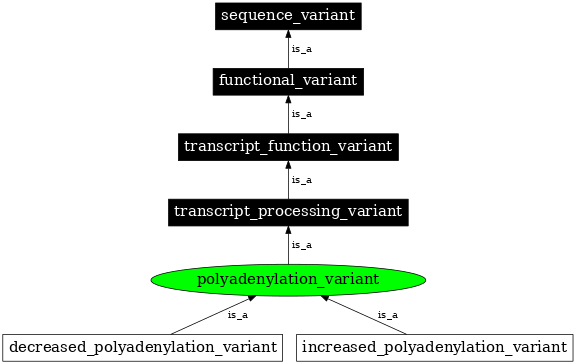 Graph image for SO:0001545
