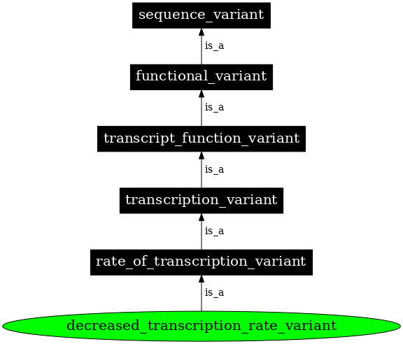 Graph image for SO:0001552