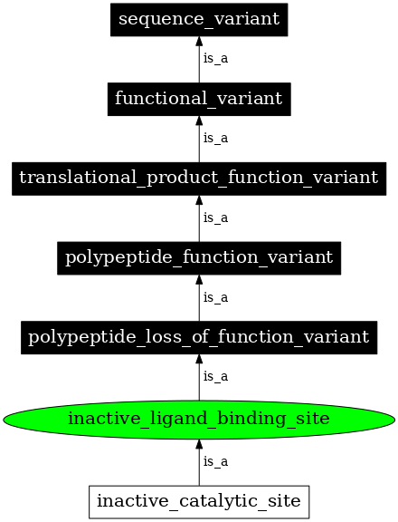 Graph image for SO:0001560