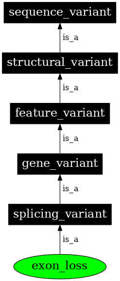 Graph image for SO:0001572