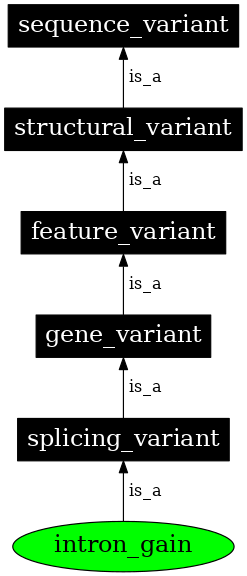 Graph image for SO:0001573