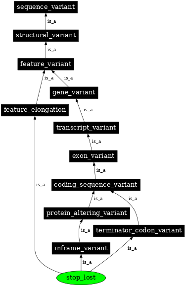 Graph image for SO:0001578