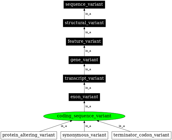 Graph image for SO:0001580