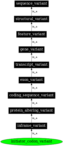 Graph image for SO:0001582