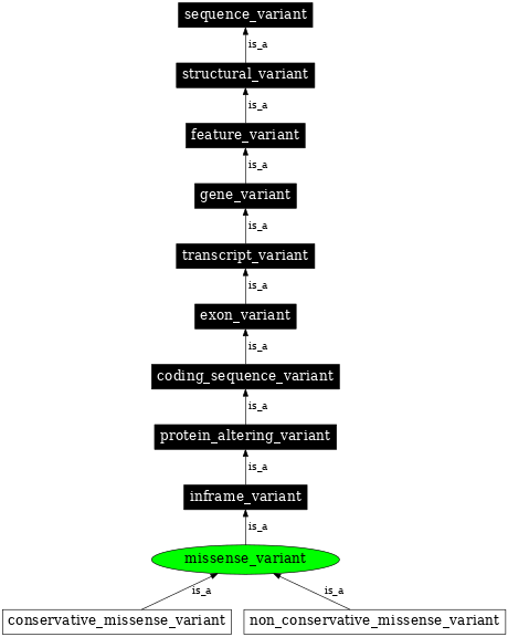 Graph image for SO:0001583