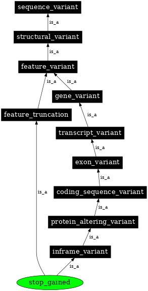 Graph image for SO:0001587