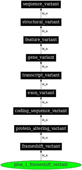 Graph image for SO:0001594